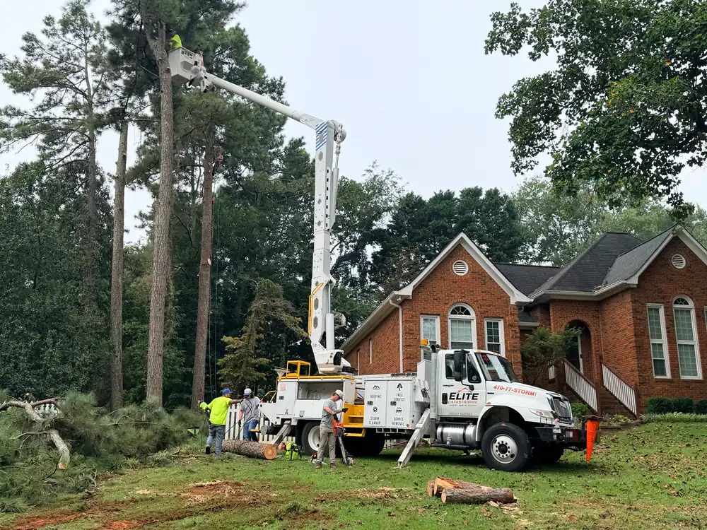 Elite Catastrophe bucket truck crew taking down storm-damaged pines beside a brick home