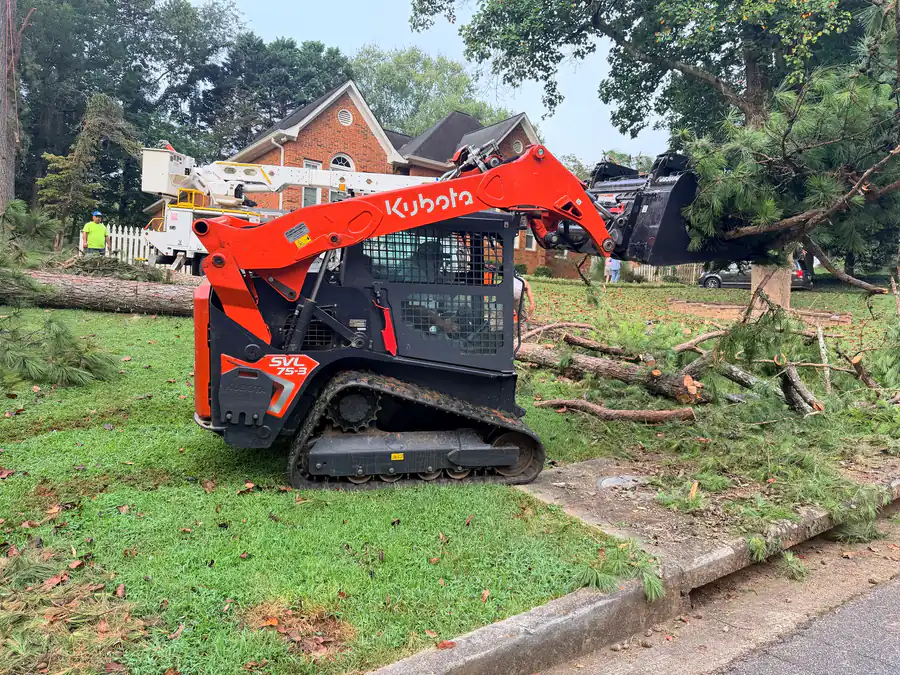 Compact track loader carrying cut pine limbs to the debris pile